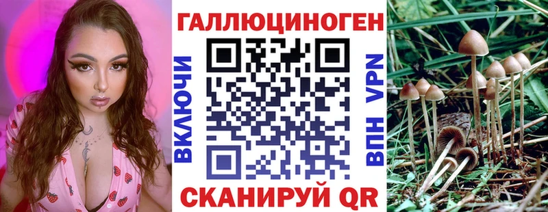 Галлюциногенные грибы Cubensis  Гагарин 