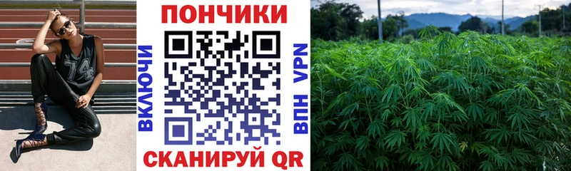 сколько стоит  Гагарин  Каннабис THC 21% 